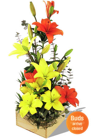 zFlowers.com for Mother’s Day