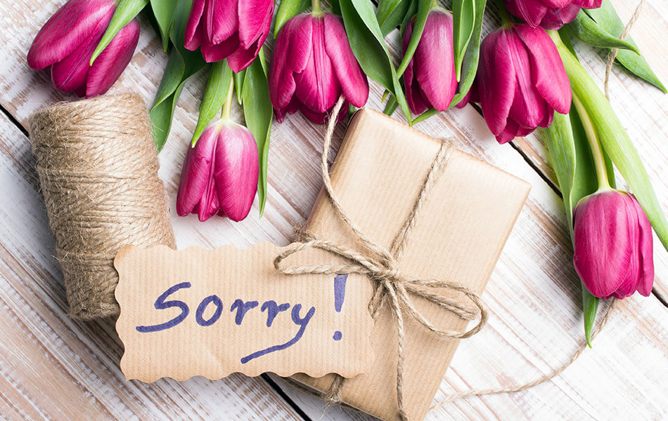 Flowers: The Best Way to Say 'Sorry'