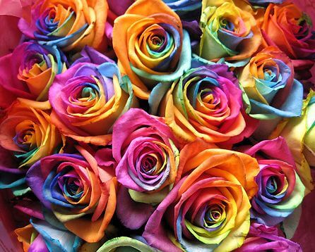How to Create Rainbow Flowers