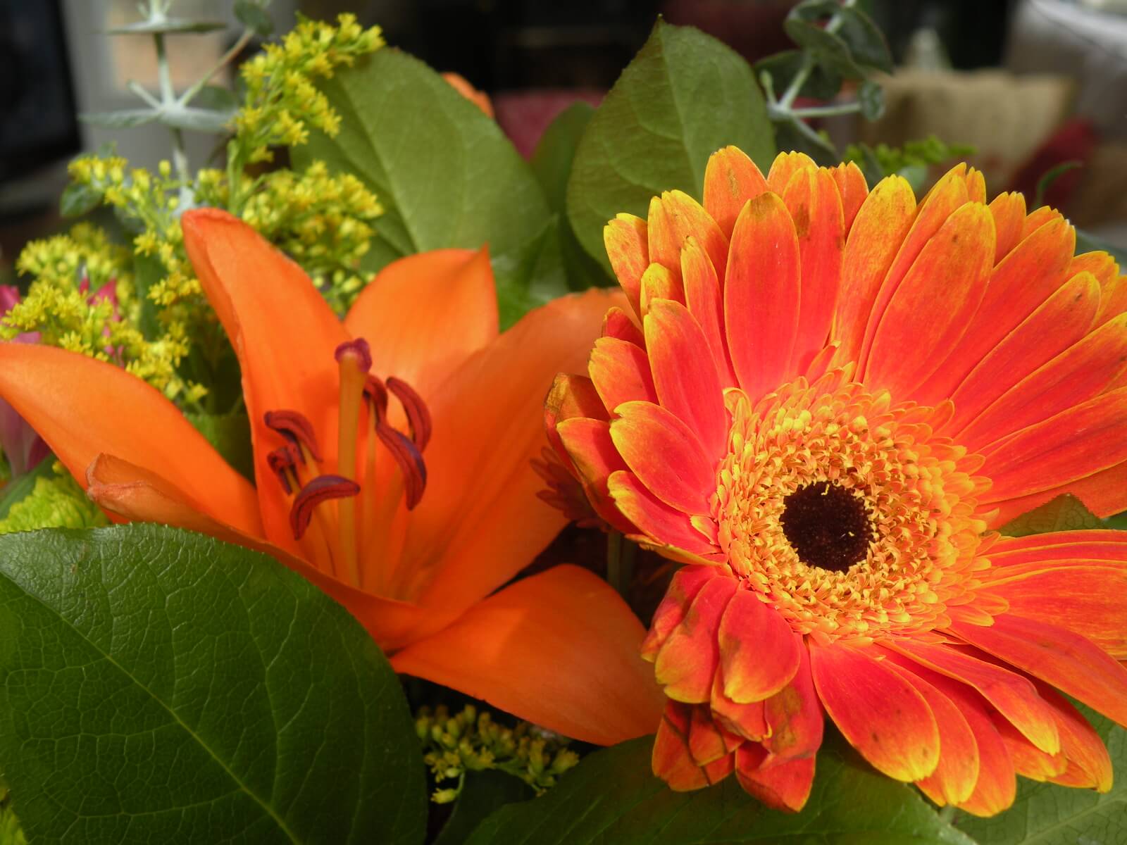 Thanksgiving Flowers and Gift Ideas