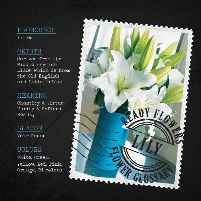 flower-glossary-lily