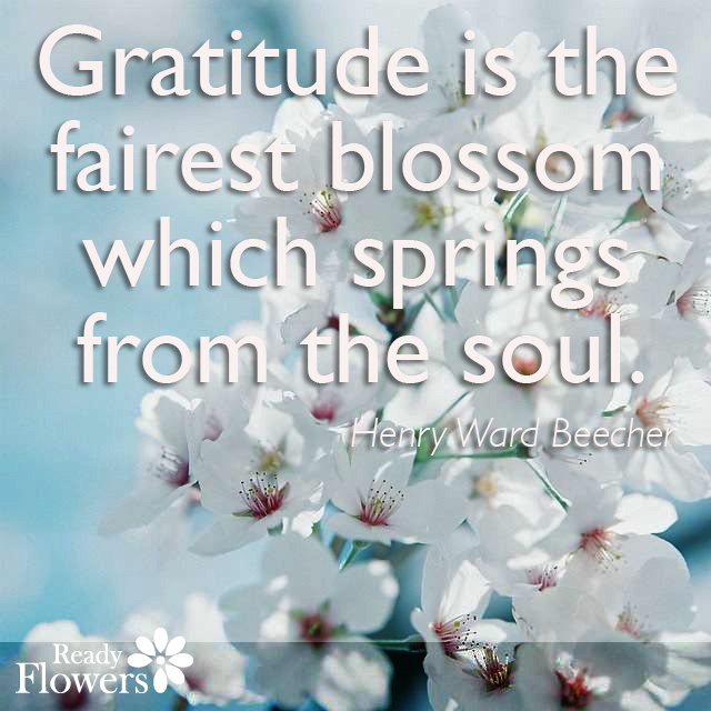 Gratitude quote by Henry Ward Beecher