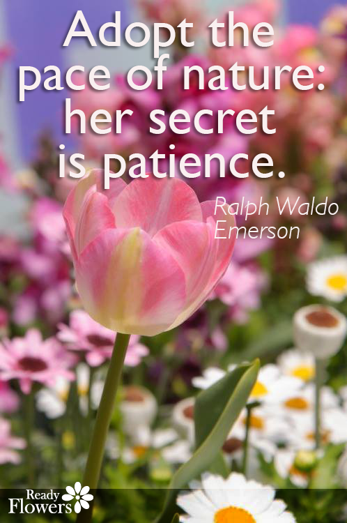 Patience quote by Ralph Waldo Emerson