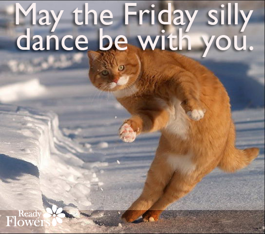 Grove cat doing the Friday silly dance.