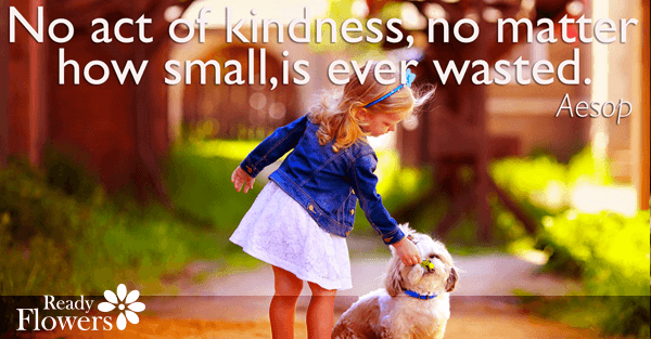 Kindness never wasted