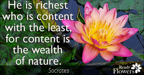 Wealth of nature