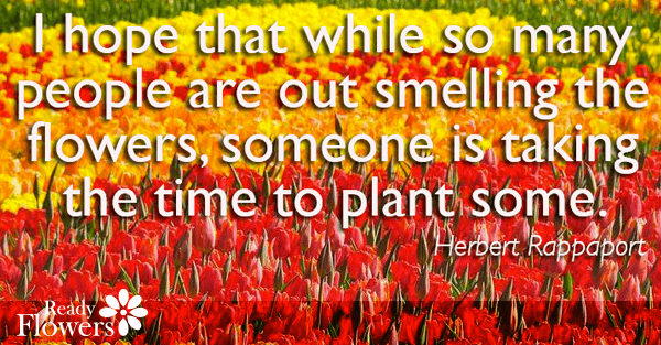 Plant some flowers