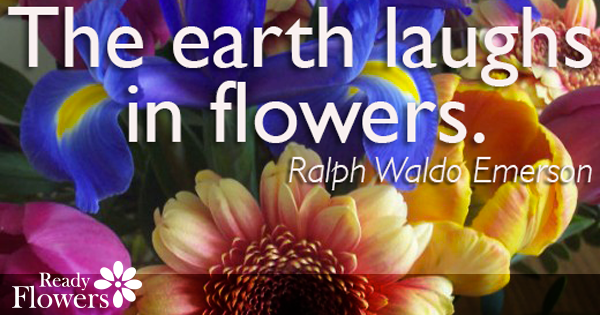 Laugh flowers - zFlowers.com Blog