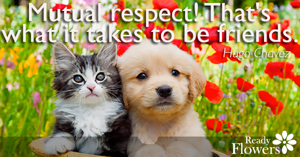 mutual-respect-zflowers-blog