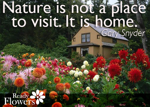 Nature is home.