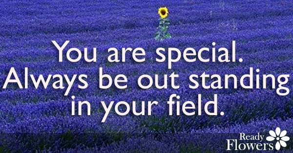 Out standing in your field