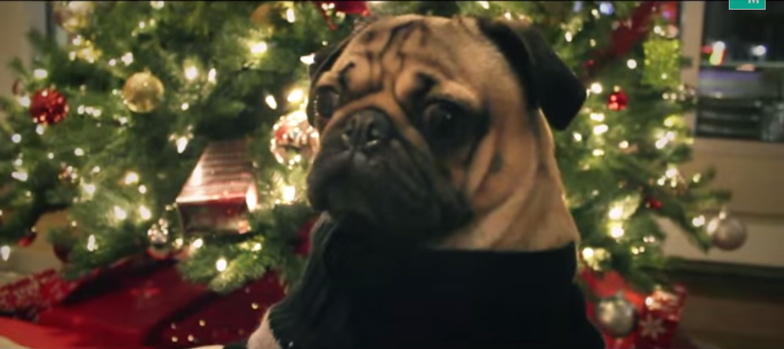 Pug Christmas