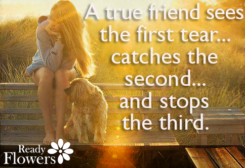 A true friend sees the first tear...catches the second...and stops the third. 