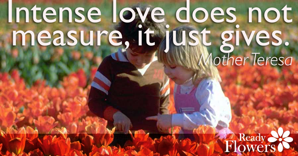 Love does not measure