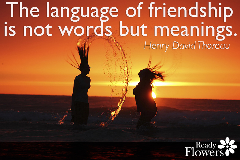 Language of friends