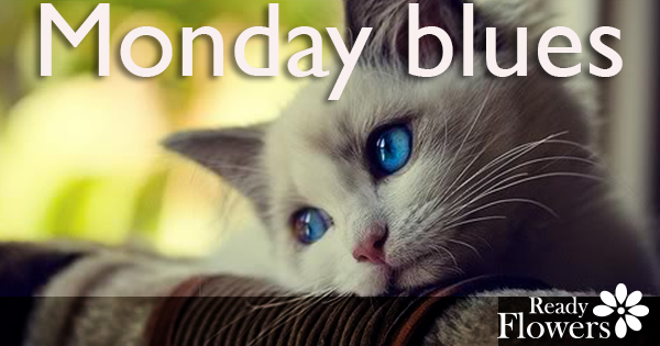 Monday Blues: 7 Tips to Getting Unstuck