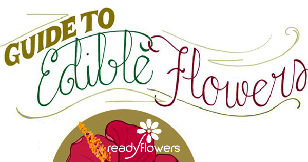 A Florist's Guide to Edible Flowers