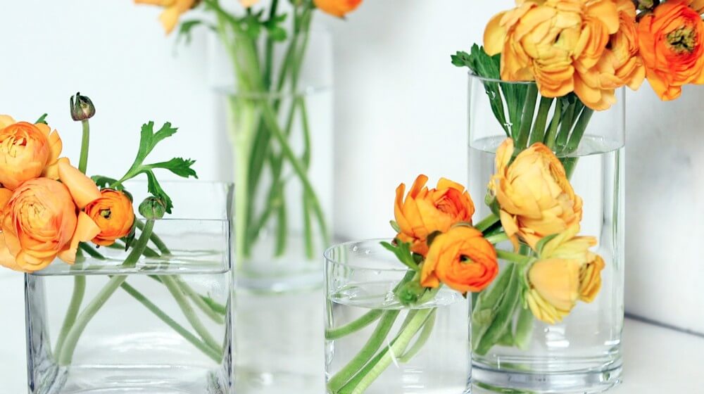 DIY: 5 Ways To Extend The Life of Cut Flowers