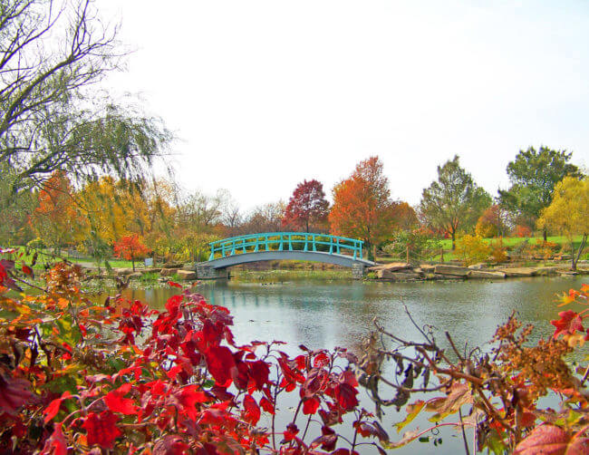 monet-bridge-in-park-in-autumn-1302795059w6k