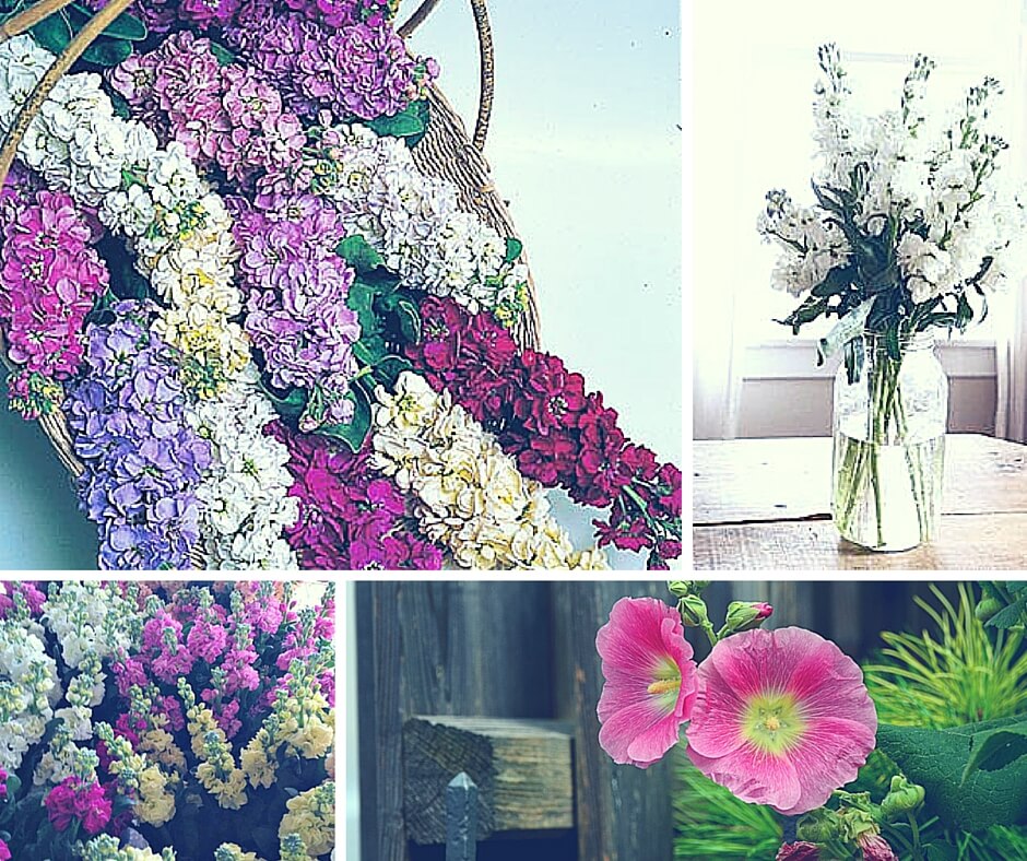 A Beginners Guide To Floral Design: 32 Most Commonly Used Flowers in Arrangement