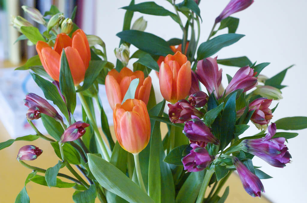 Easiest Flower Arrangements You Can Do at Home