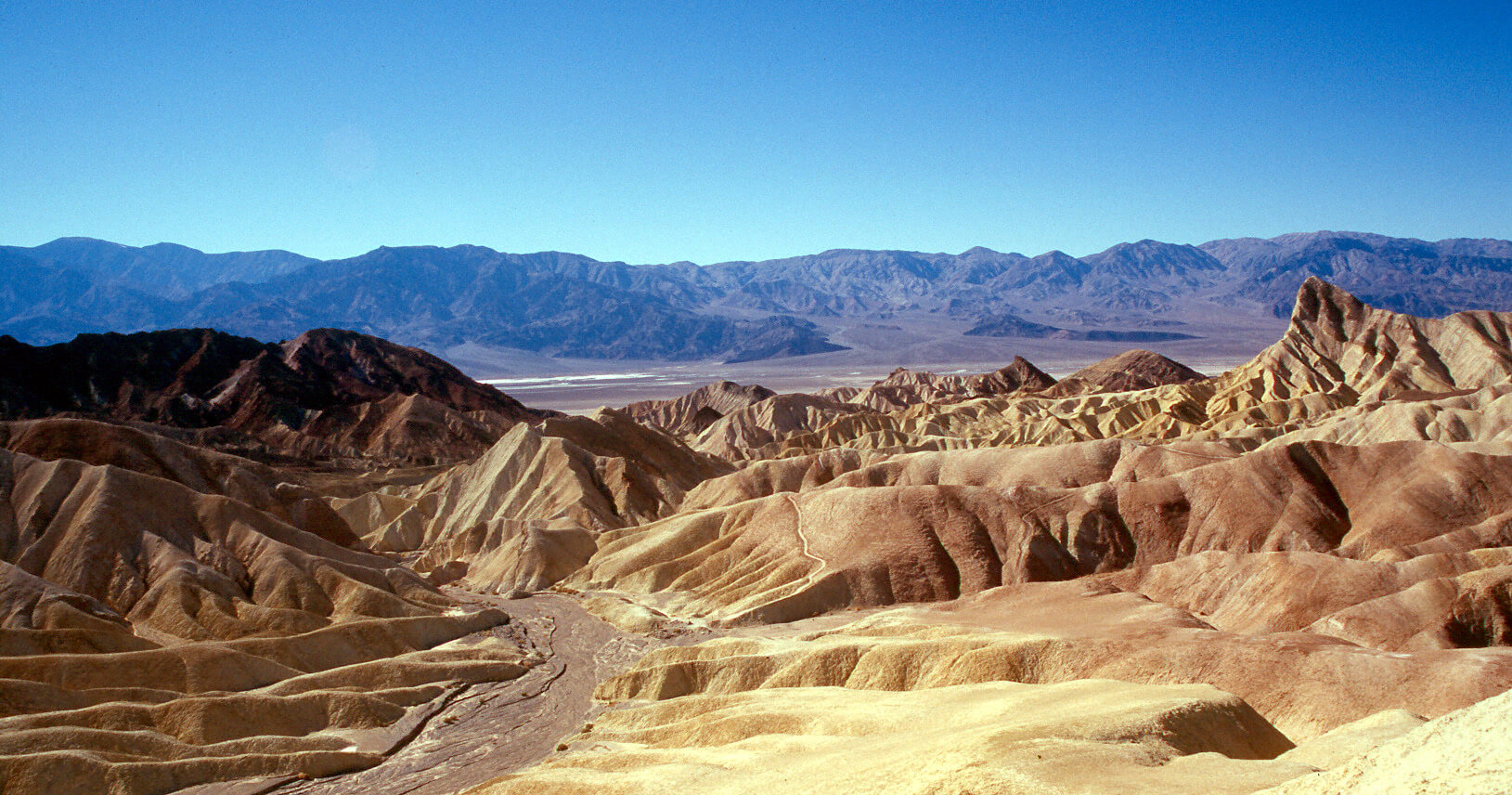 5 Things That Prove Life In Death Valley