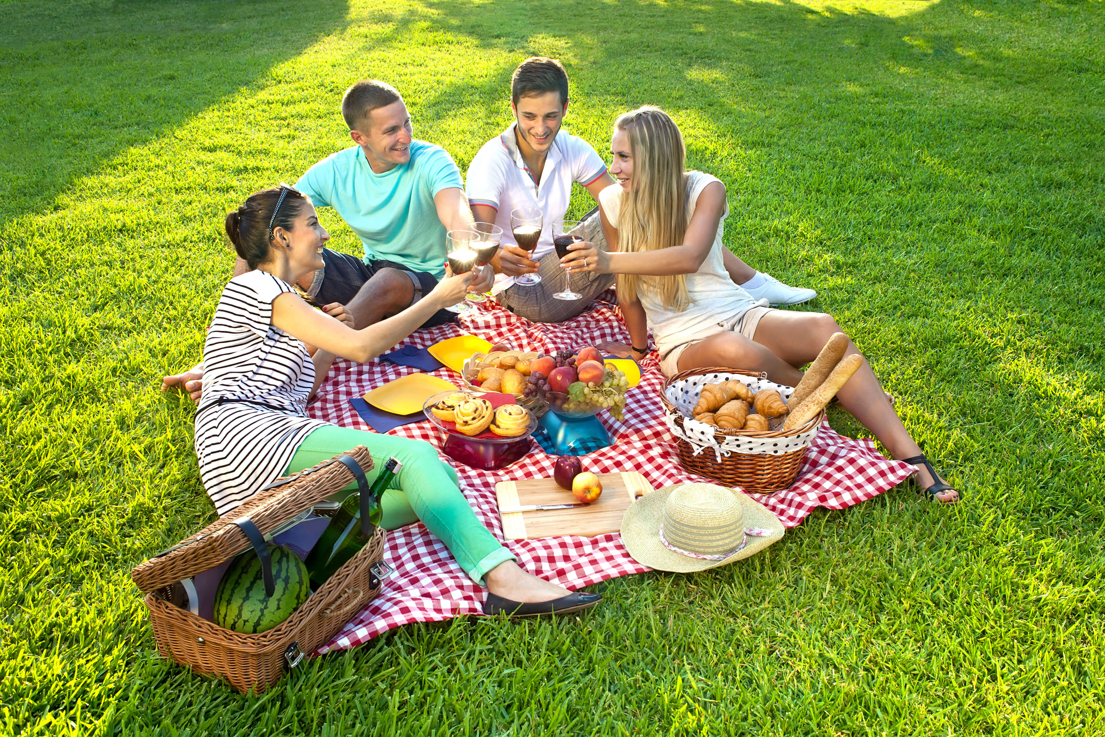 Picnic fun. Пикник на природе. Фотосессия пикник на природе. Летняя фотосессия на природе. Семья на пикнике.