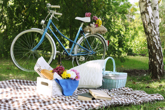 picnic day bike