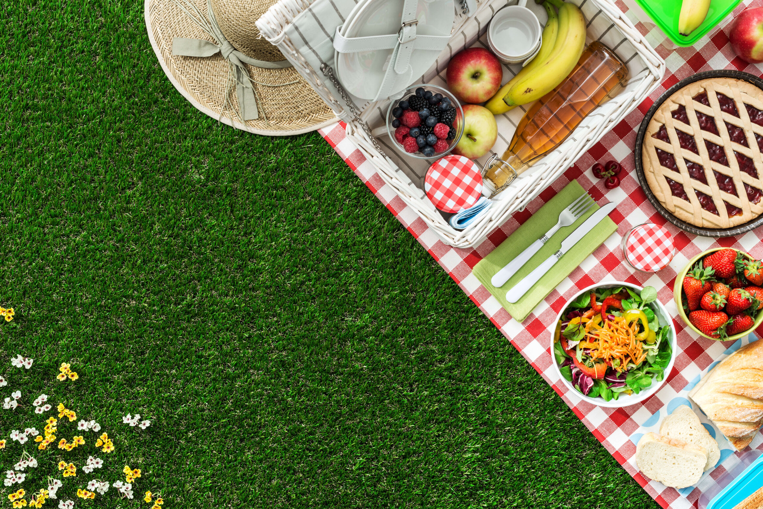 Your Most Memorable Picnic Day Ever