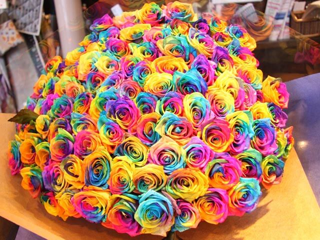A DIY Challenge: Rainbow Roses
