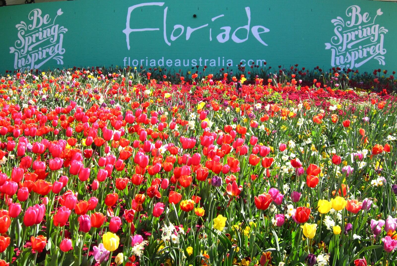Floriade 2016: Starter Pack for First-Timers