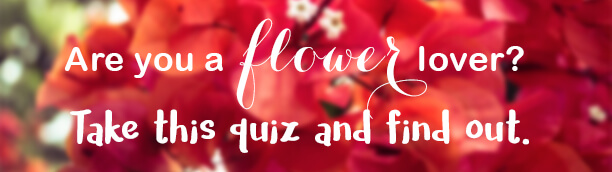 Are-you-a-flower-lover-