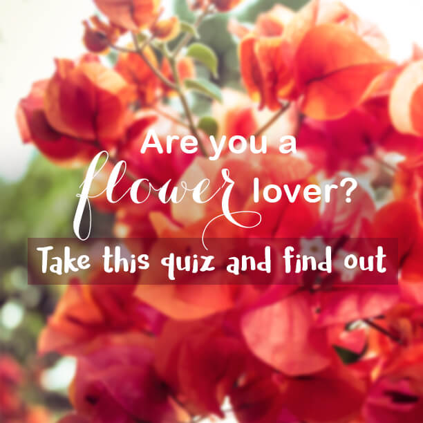 Are you a flower lover?