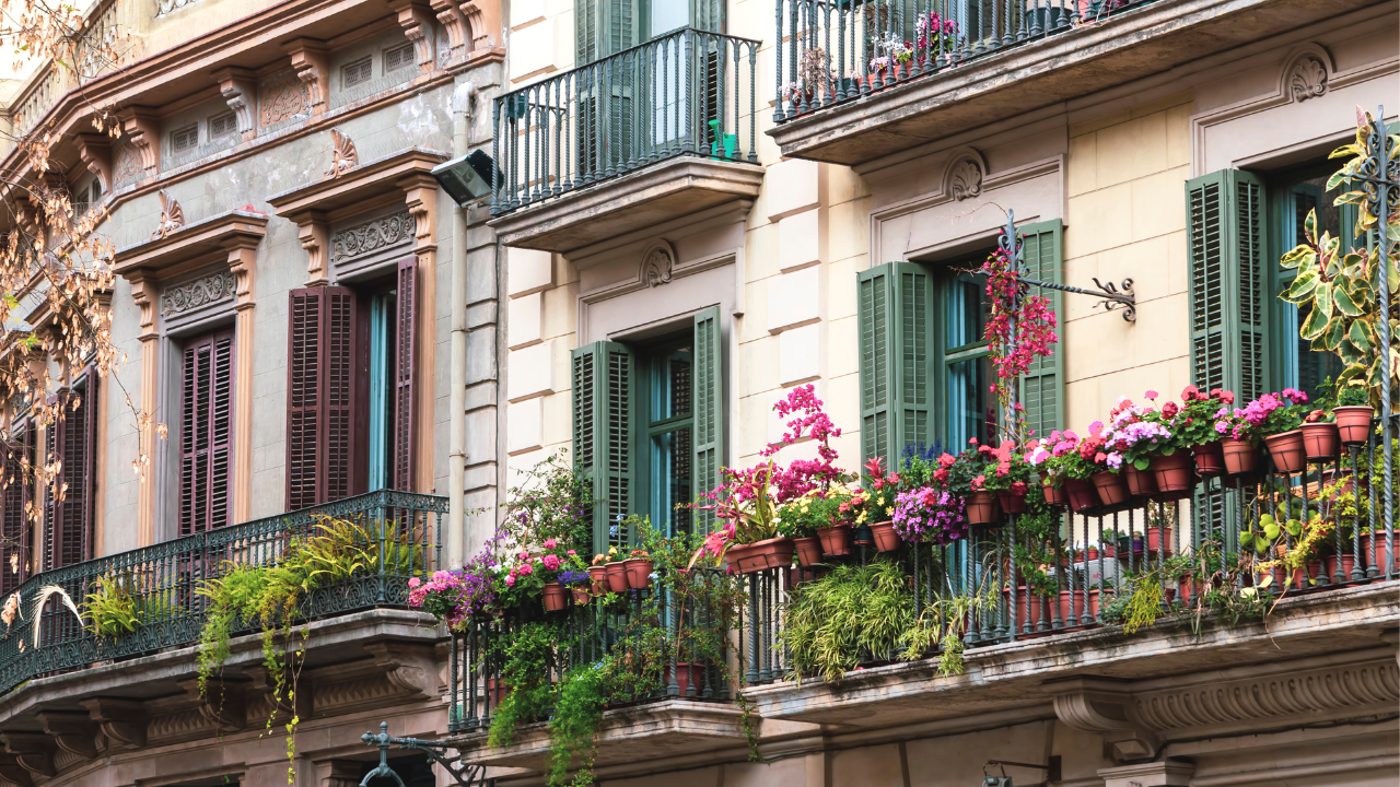 Transform Your Urban Balcony with Blooms
