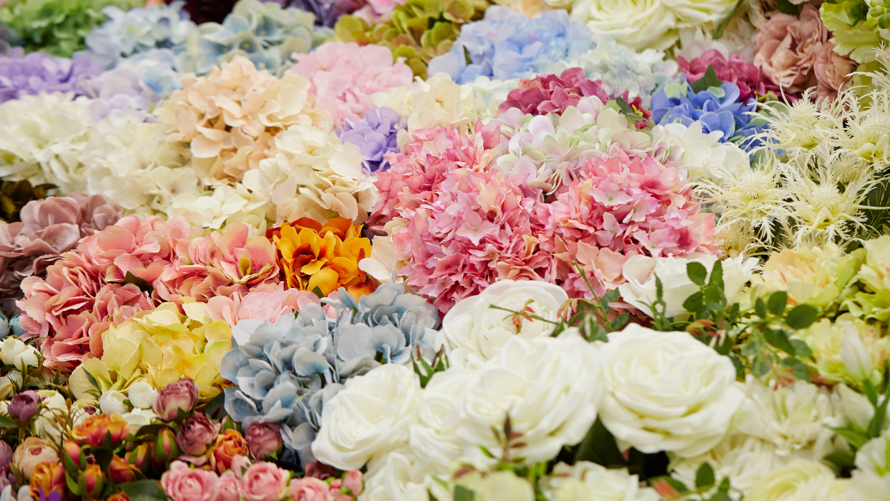 Floral Astrology: Your Monthly Flower Predictions