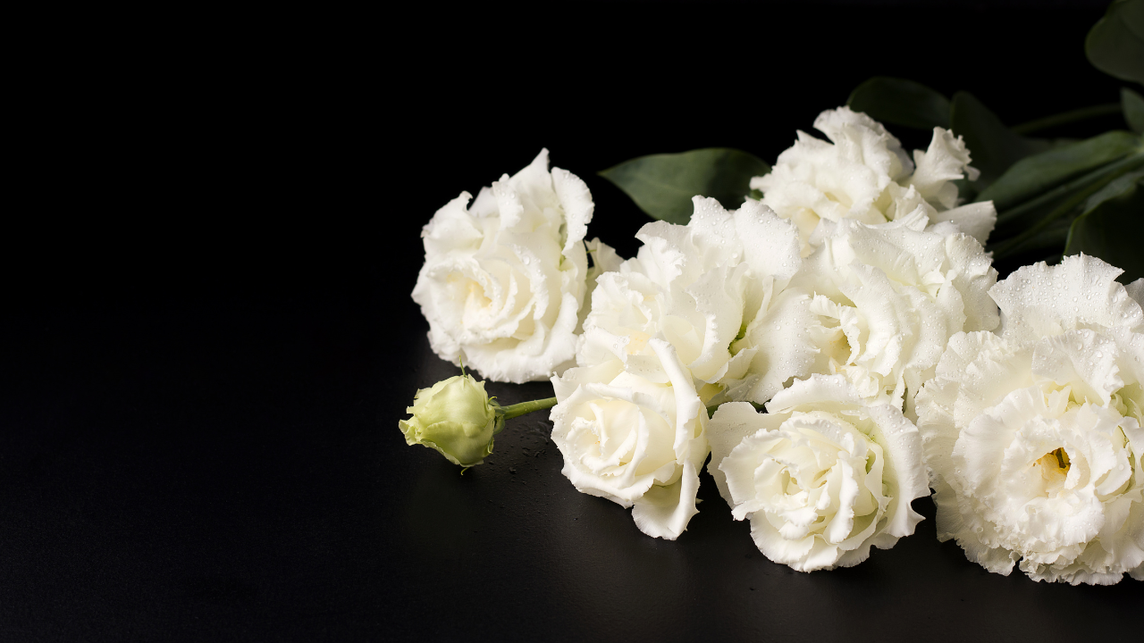 Understanding and Honoring Funeral Flower Etiquette