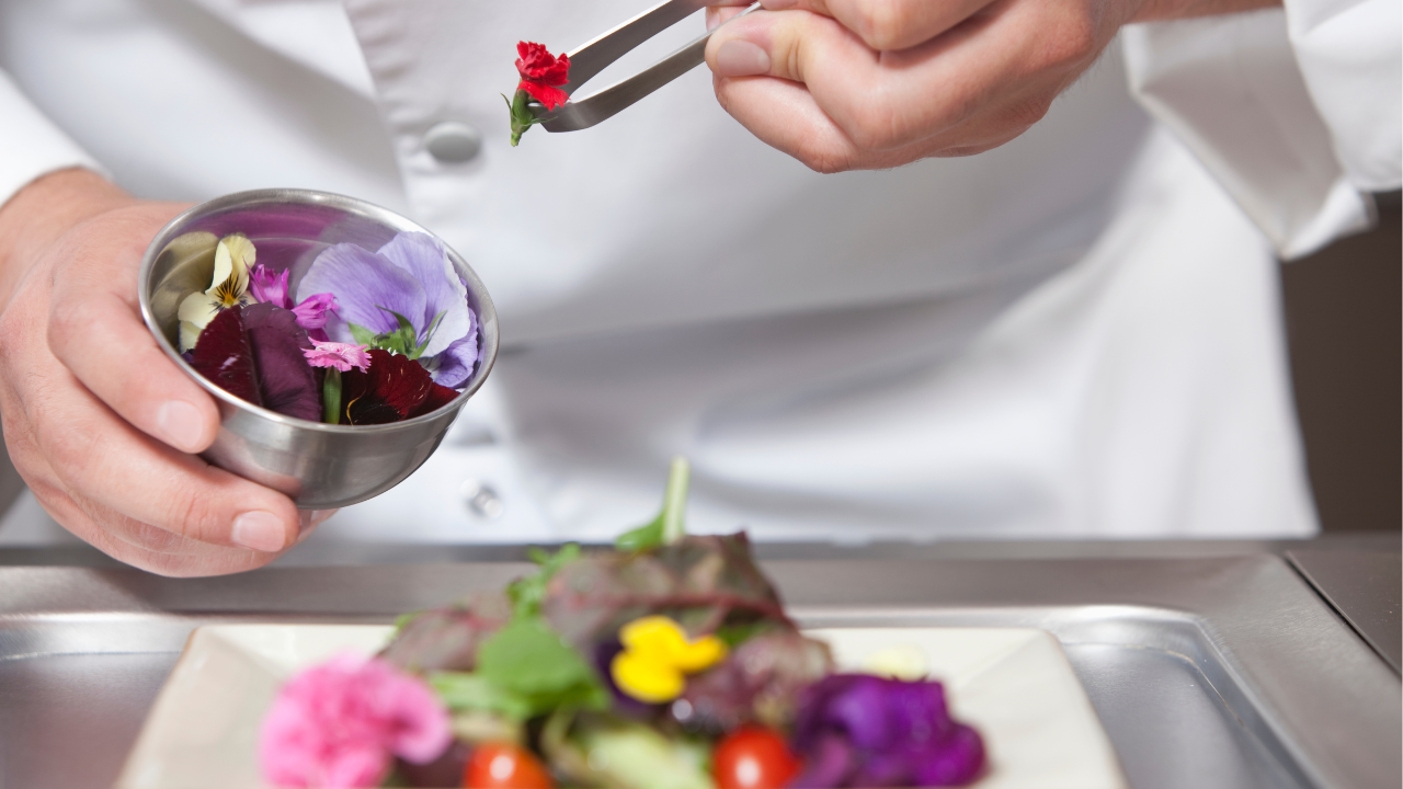 Exploring Edible Flowers: Enhancing Culinary Creativity