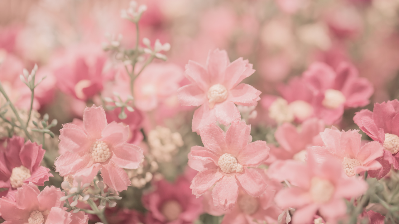 Symbolic Flowers: Celebrating Love Through Tradition