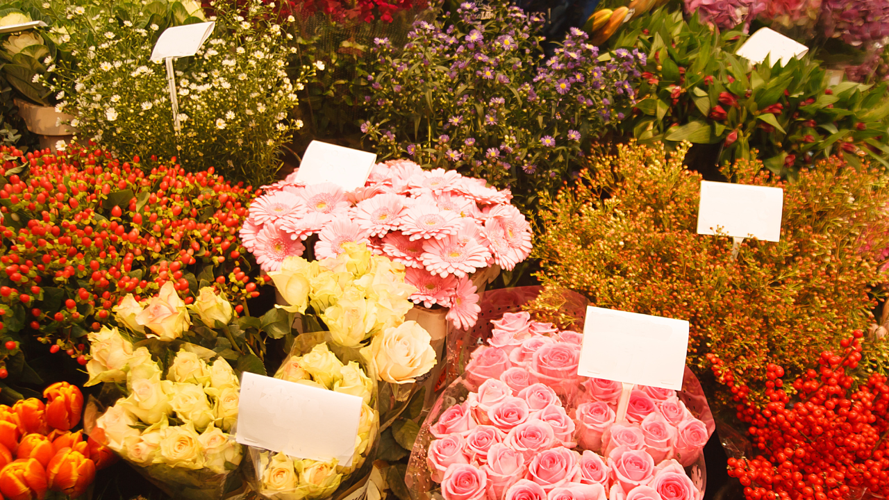 Floral Empires: Celebrities in Blooming Business