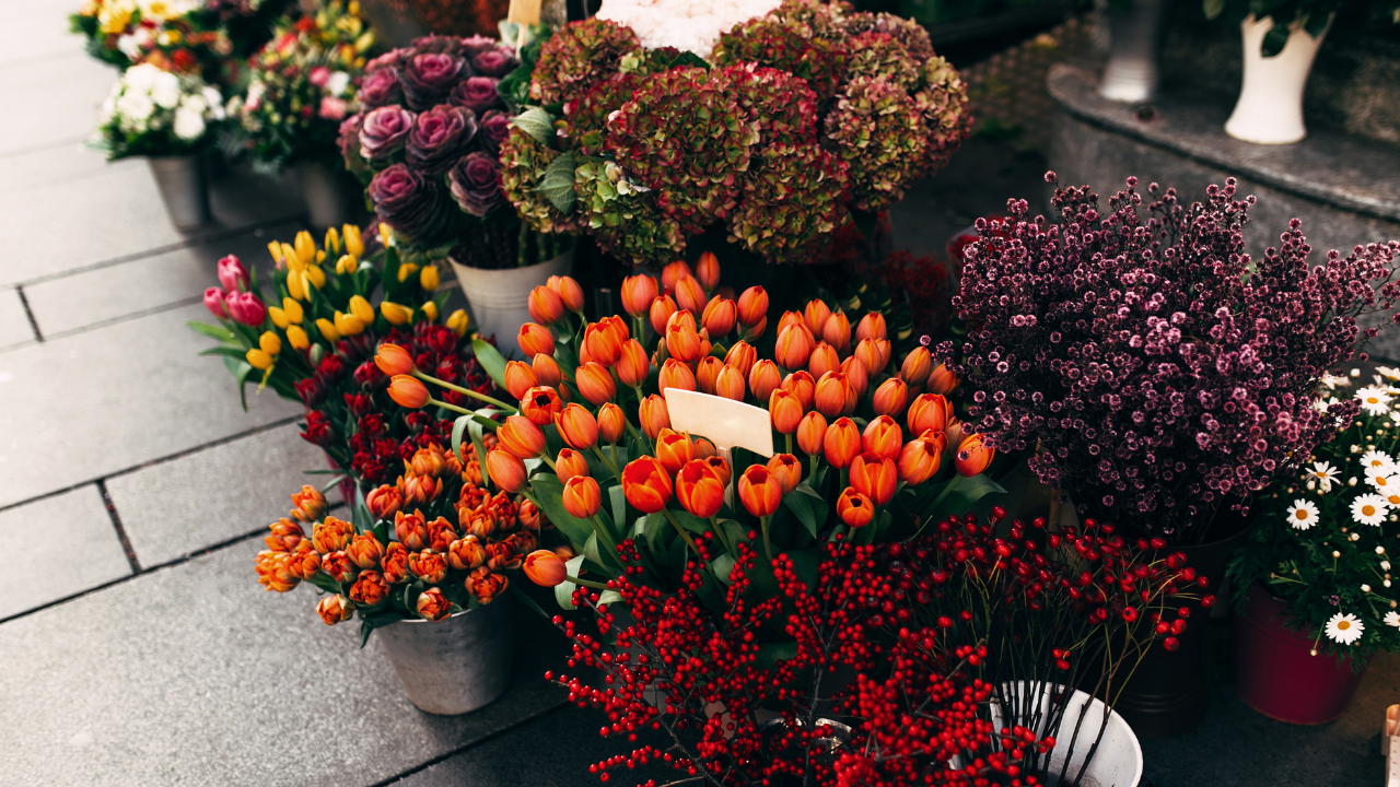 Celebrity-Owned Floral Businesses: Blooming Success Story
