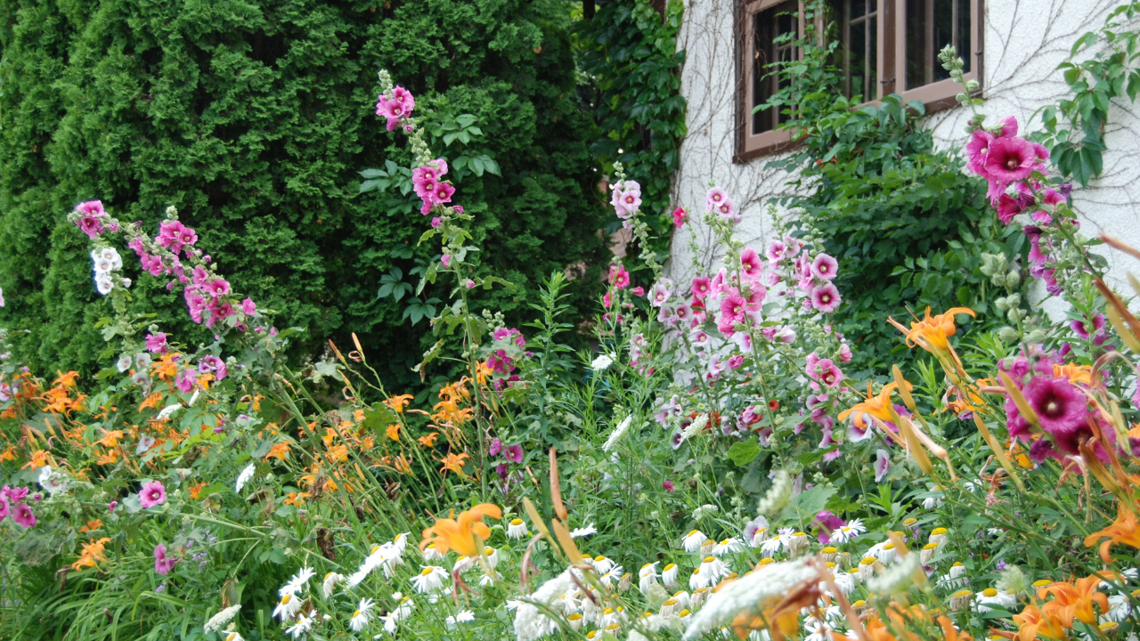 Summer Garden Planting: Blooms and Guides