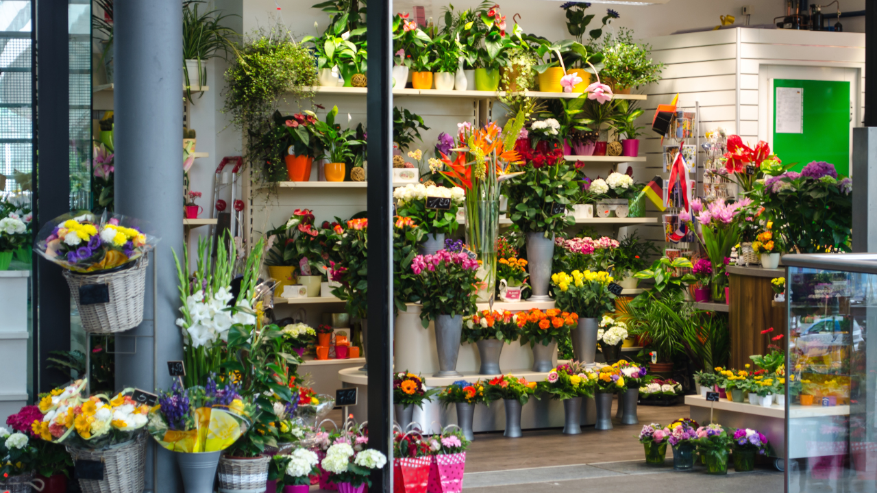 Crafting DIY Mini Flower Greenhouses: Inspiration