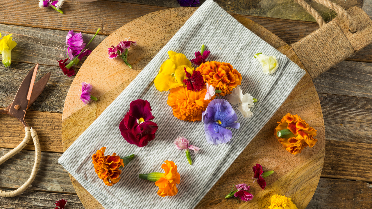 Spring Flower Cooking: Infusing Delicate Flavors