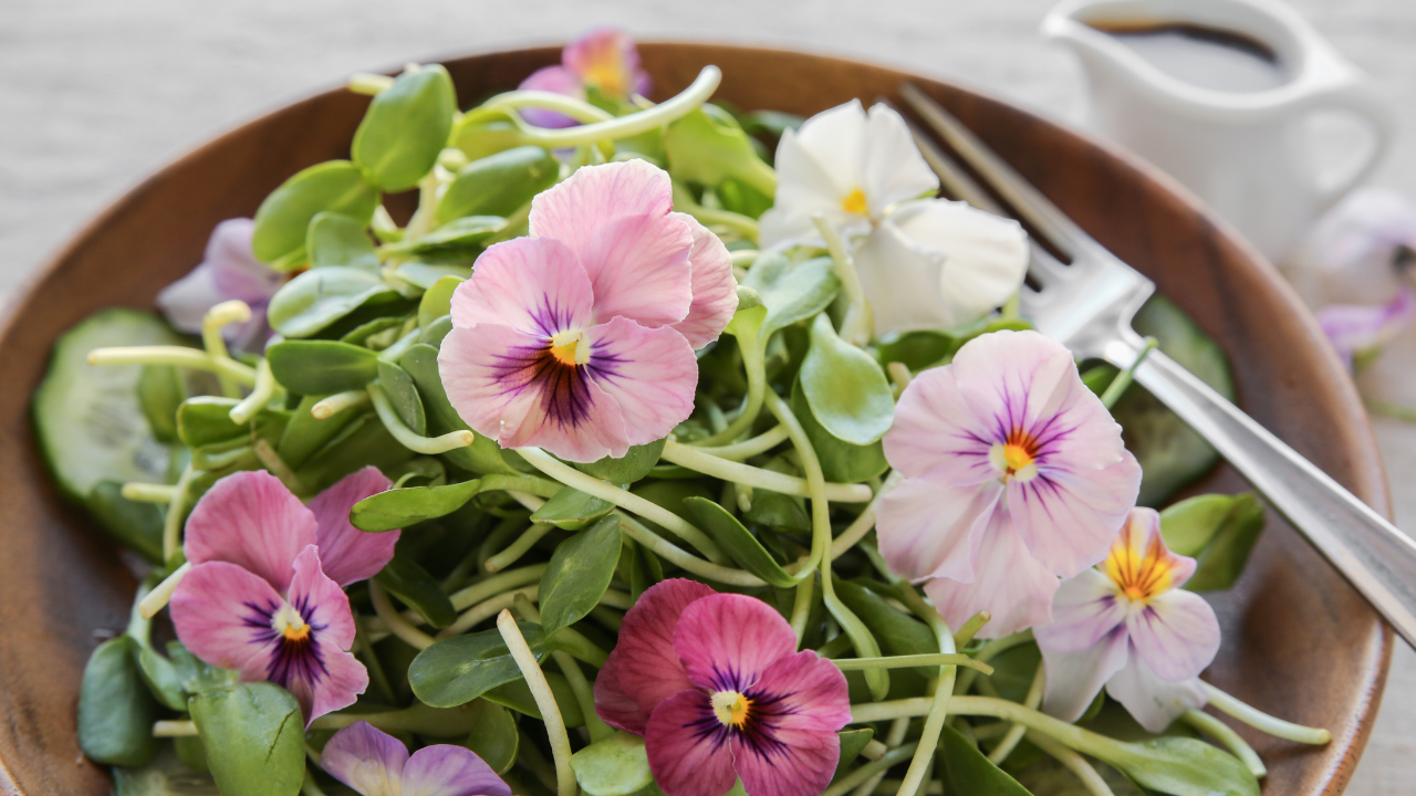 Exploring the Enchanting World of Edible Flowers